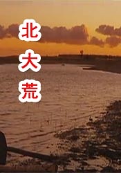 亚洲综合网在线观看首页